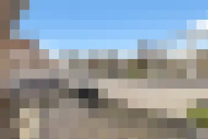 Leeuwenhorst 2 't Zand thumbnail 18