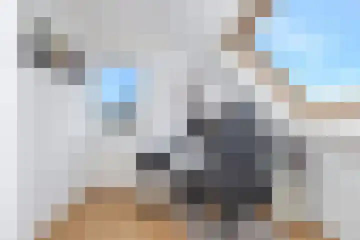 Leeuwenhorst 2 't Zand thumbnail 23
