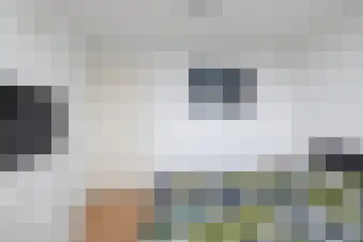 Leeuwenhorst 2 't Zand thumbnail 32
