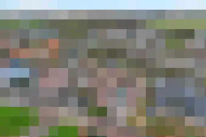 Leeuwenhorst 2 't Zand thumbnail 6