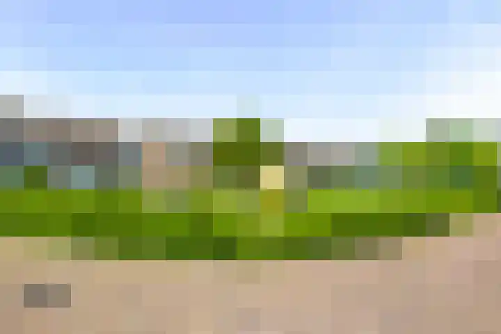 Leeuwenhorst 5 't Zand thumbnail 18