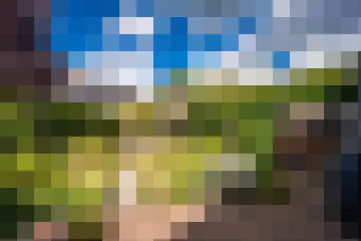 Leeuwenhorst 6 Alphen aan den Rijn thumbnail 10