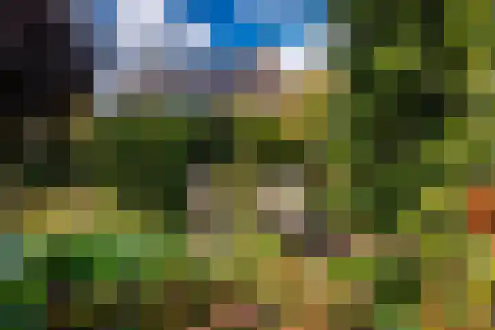 Leeuwenhorst 6 Alphen aan den Rijn thumbnail 11