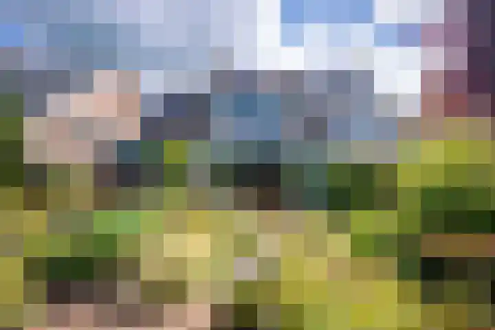 Leeuwenhorst 6 Alphen aan den Rijn thumbnail 13