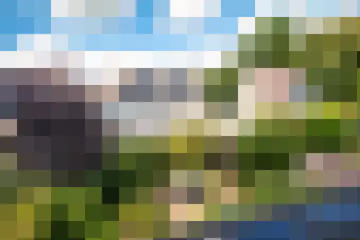 Leeuwenhorst 6 Alphen aan den Rijn thumbnail 34