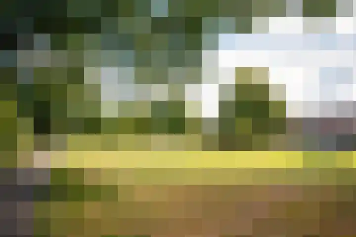 Leeuwenhorst 6 Alphen aan den Rijn thumbnail 38