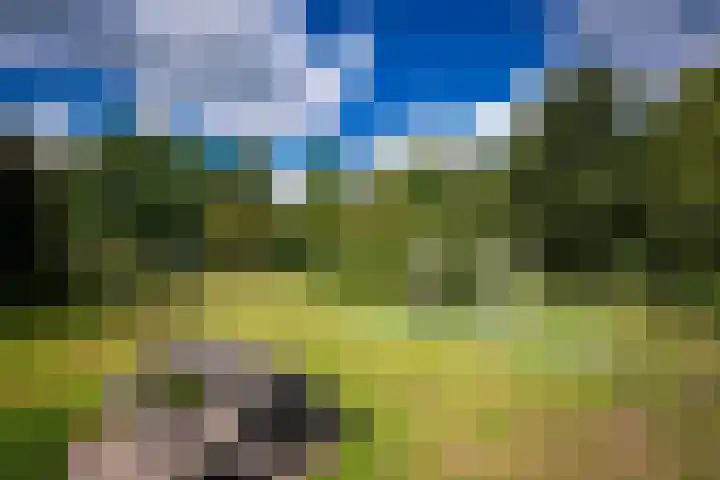 Leeuwenhorst 6 Alphen aan den Rijn thumbnail 40