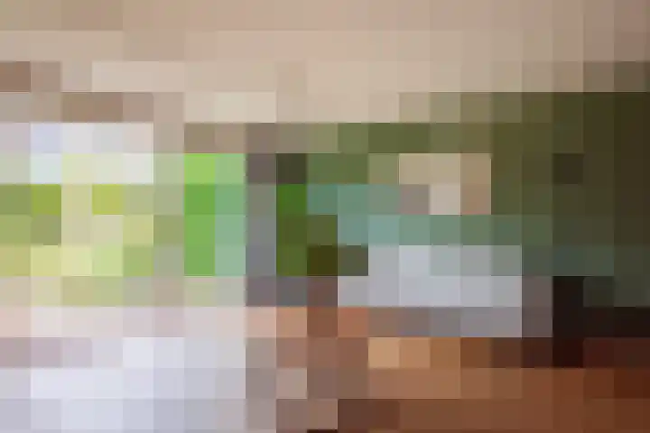 Leeuwenhorst 6 Alphen aan den Rijn thumbnail 7