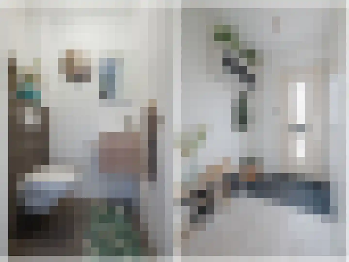 Leeuwenhorststraat 11 Bleiswijk thumbnail 11