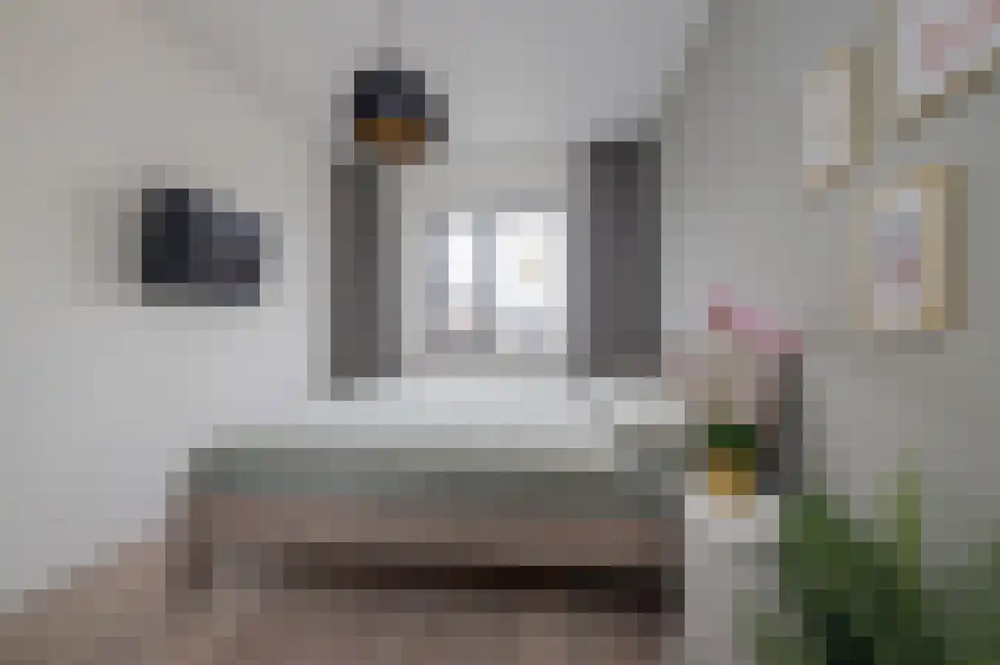 Leeuwenhorststraat 11 Bleiswijk thumbnail 12