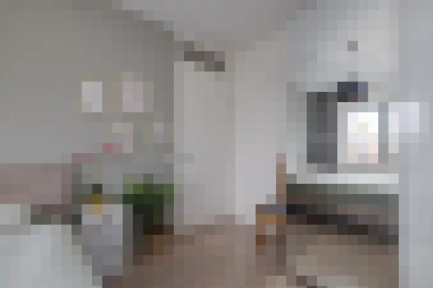 Leeuwenhorststraat 11 Bleiswijk thumbnail 13