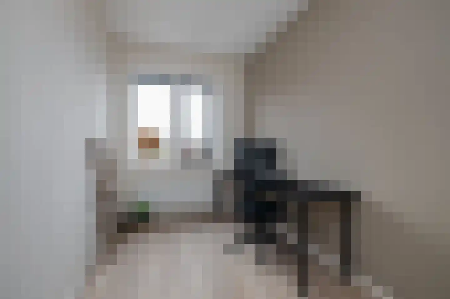Leeuwenhorststraat 11 Bleiswijk thumbnail 16