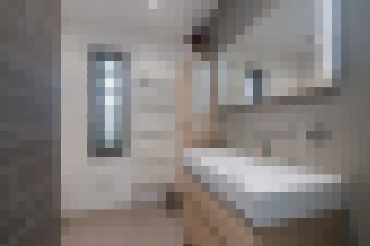 Leeuwenhorststraat 11 Bleiswijk thumbnail 17