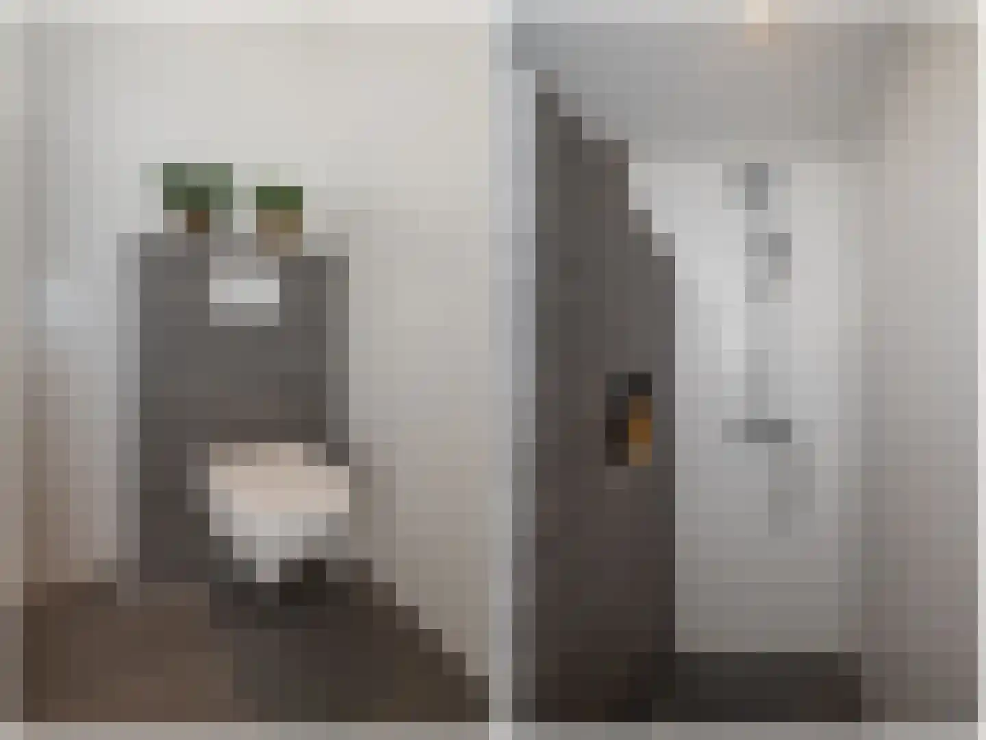 Leeuwenhorststraat 11 Bleiswijk thumbnail 18