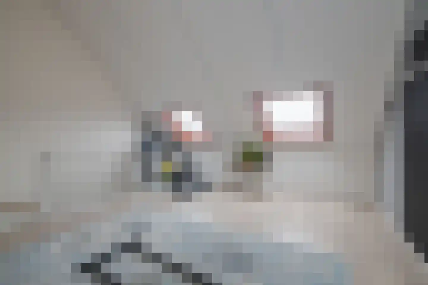 Leeuwenhorststraat 11 Bleiswijk thumbnail 21