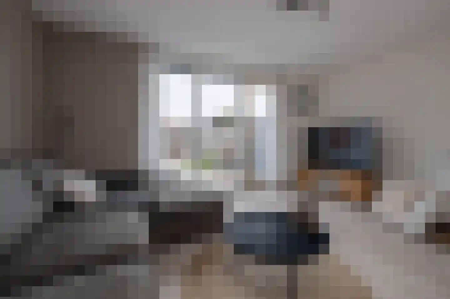 Leeuwenhorststraat 11 Bleiswijk thumbnail 5