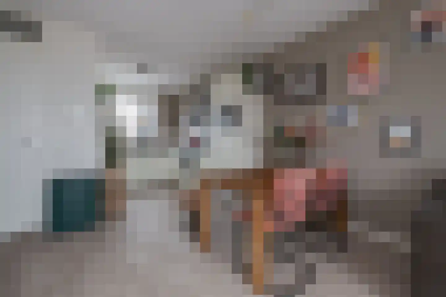 Leeuwenhorststraat 11 Bleiswijk thumbnail 7