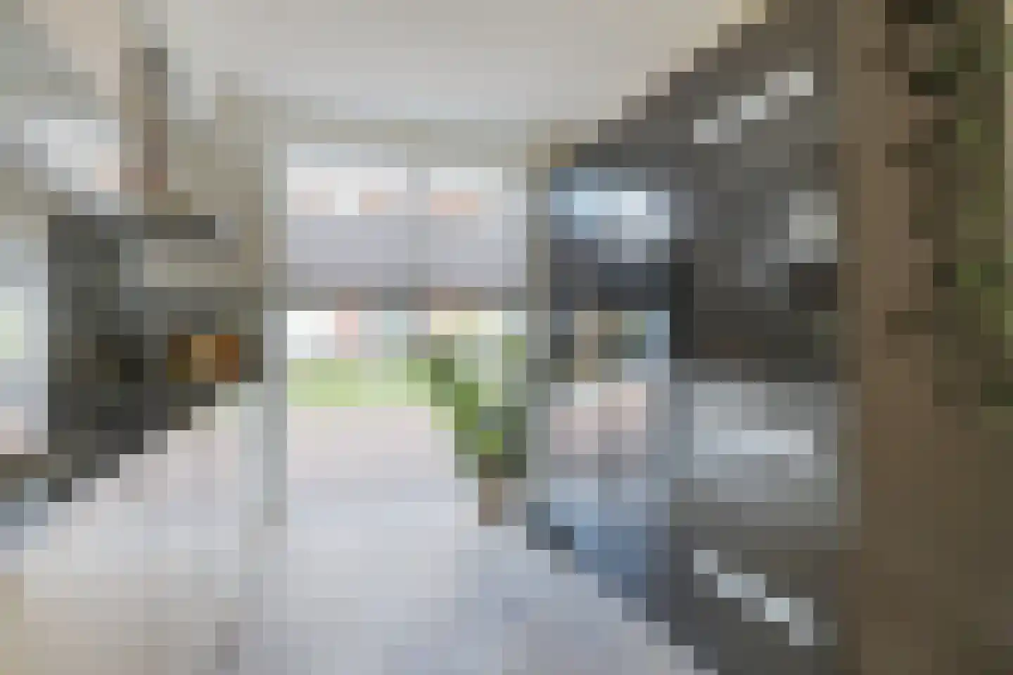 Leeuwenkamp 8 Hooglanderveen thumbnail 11