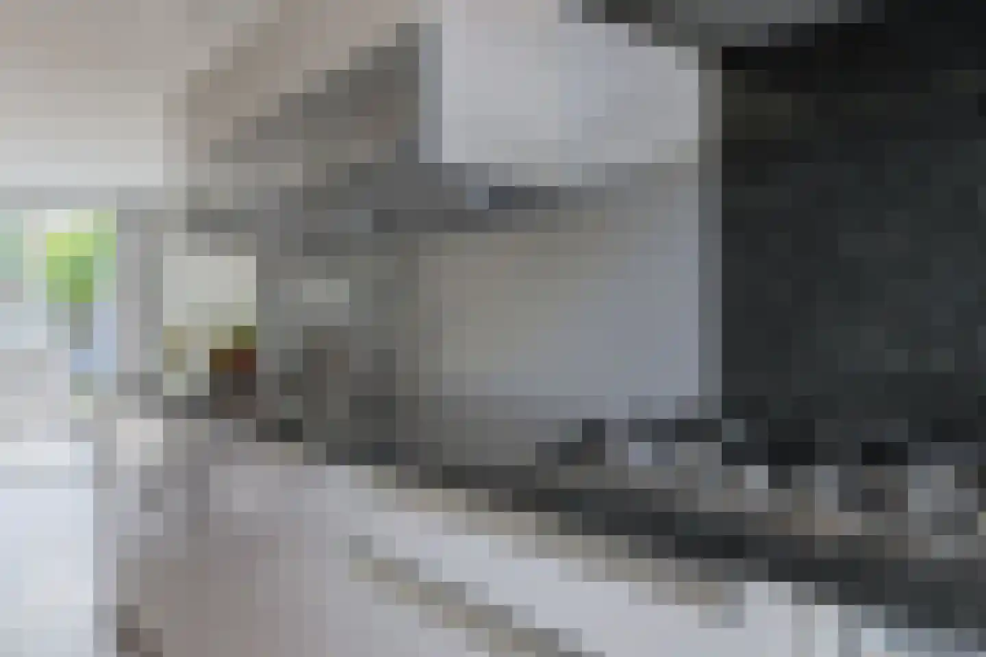 Leeuwenkamp 8 Hooglanderveen thumbnail 13