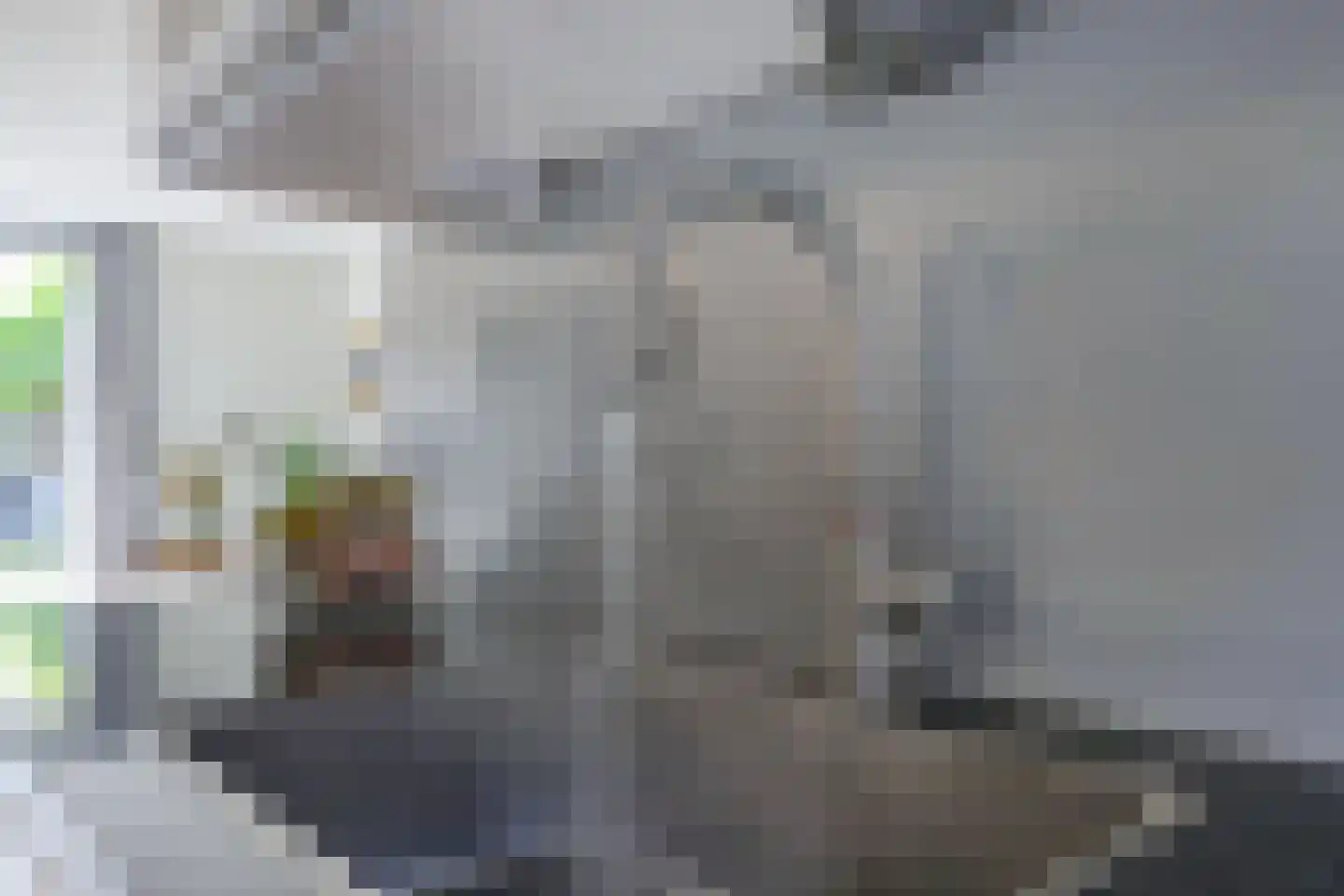 Leeuwenkamp 8 Hooglanderveen thumbnail 14