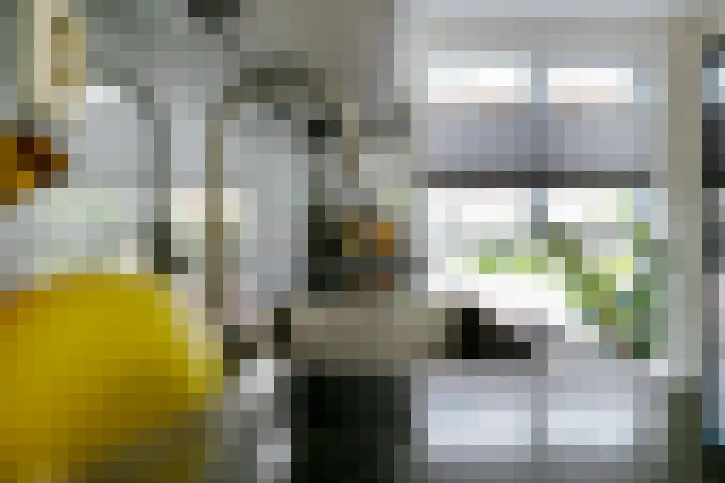 Leeuwenkamp 8 Hooglanderveen thumbnail 15