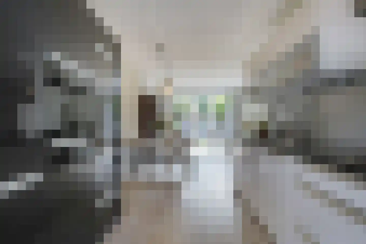 Leeuwenkamp 8 Hooglanderveen thumbnail 16