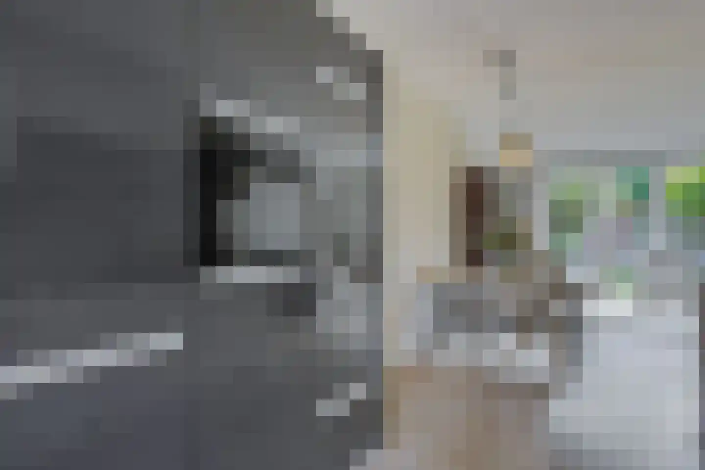 Leeuwenkamp 8 Hooglanderveen thumbnail 17