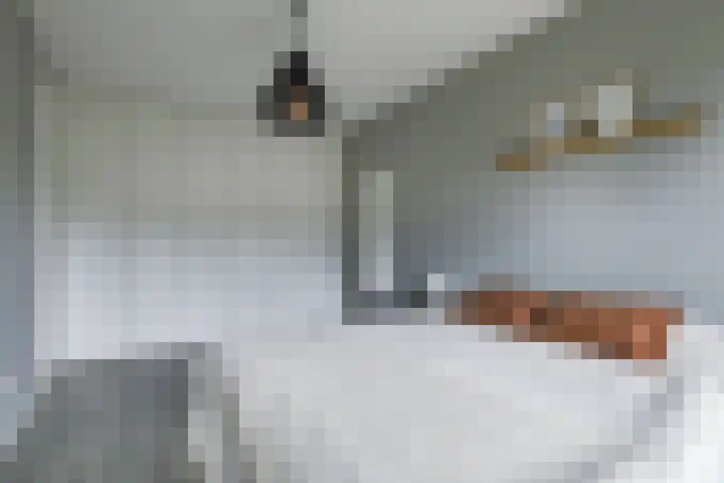 Leeuwenkamp 8 Hooglanderveen thumbnail 21