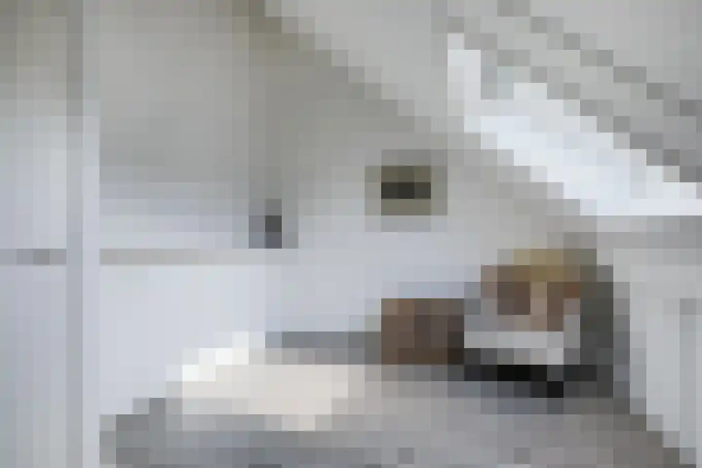 Leeuwenkamp 8 Hooglanderveen thumbnail 33