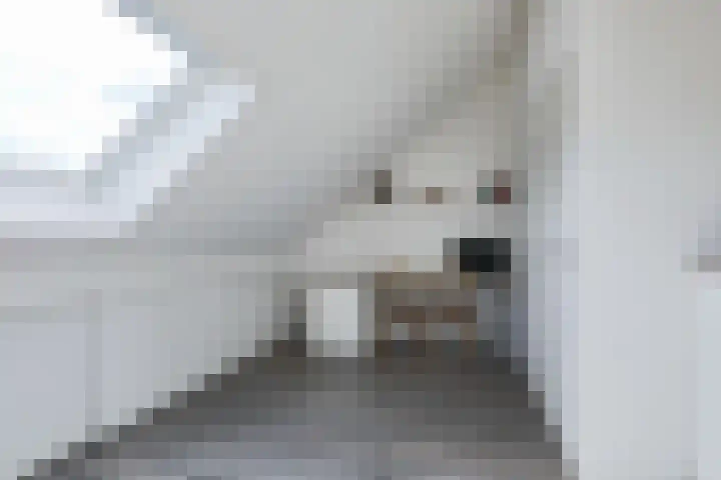 Leeuwenkamp 8 Hooglanderveen thumbnail 34