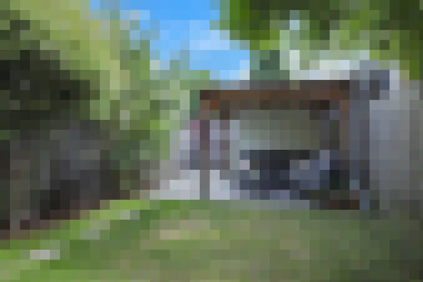 Leeuwenkamp 8 Hooglanderveen thumbnail 38