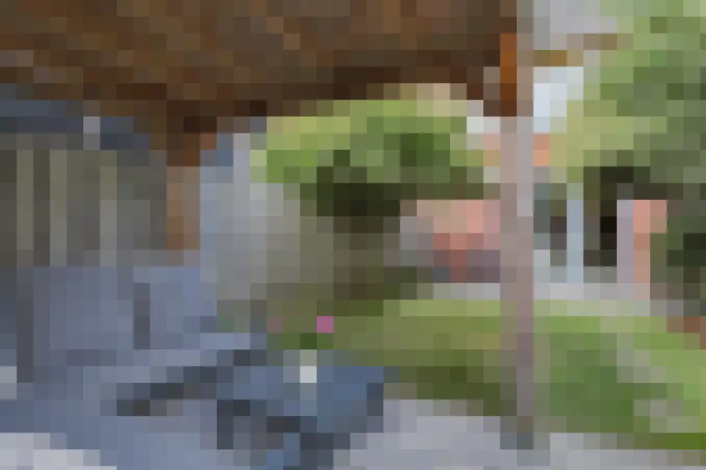 Leeuwenkamp 8 Hooglanderveen thumbnail 39