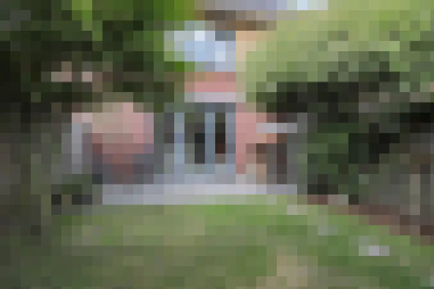 Leeuwenkamp 8 Hooglanderveen thumbnail 40