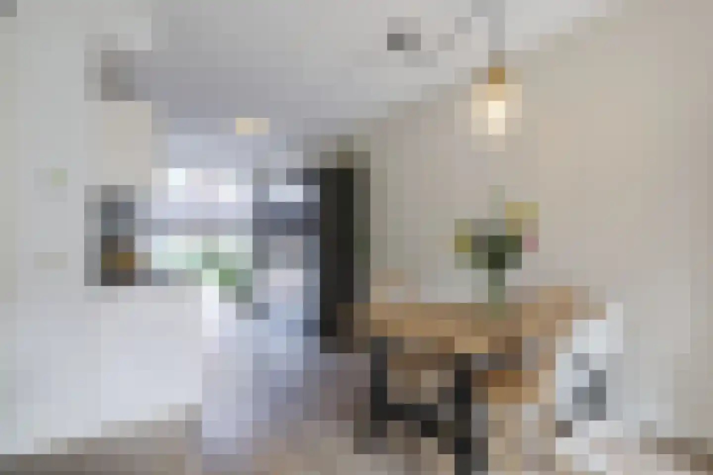 Leeuwenkamp 8 Hooglanderveen thumbnail 7