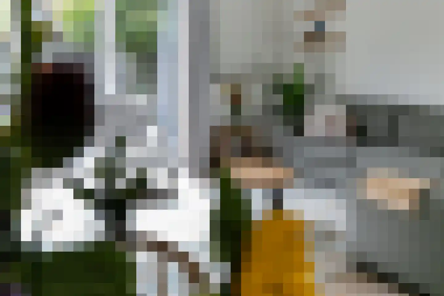 Leeuwenkamp 8 Hooglanderveen thumbnail 8