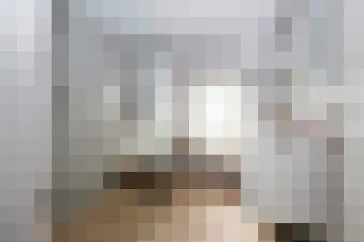 Leeuwenlaan 14 Terneuzen thumbnail 12