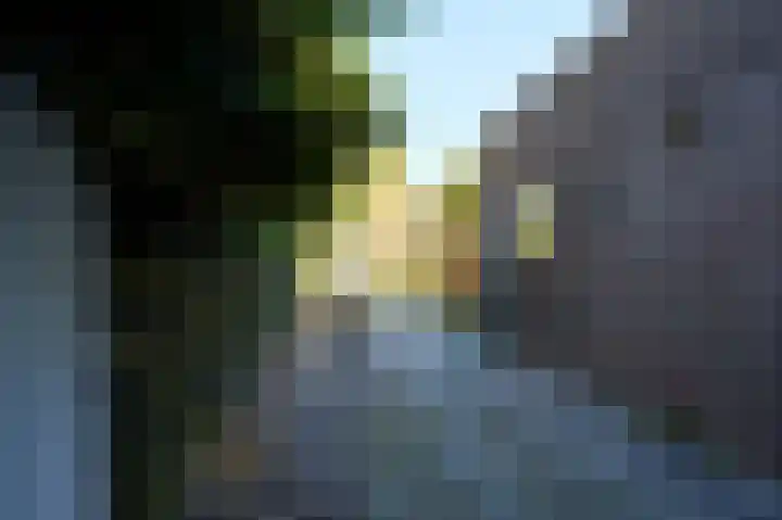 Leeuwenlaan 14 Terneuzen thumbnail 16