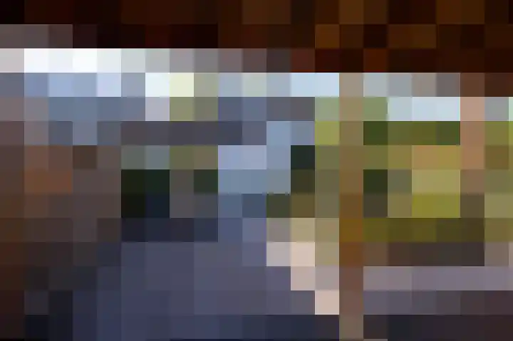 Leeuwenlaan 14 Terneuzen thumbnail 17