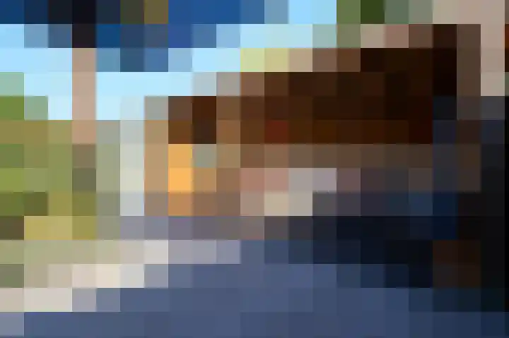 Leeuwenlaan 14 Terneuzen thumbnail 4