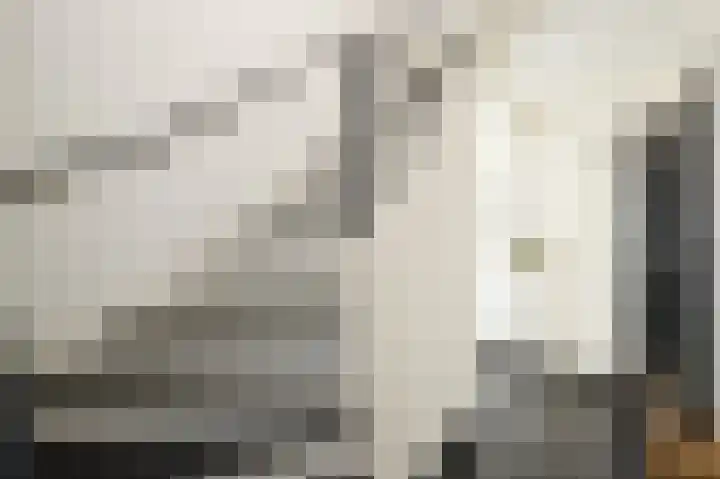 Leeuwenlaan 14 Terneuzen thumbnail 5