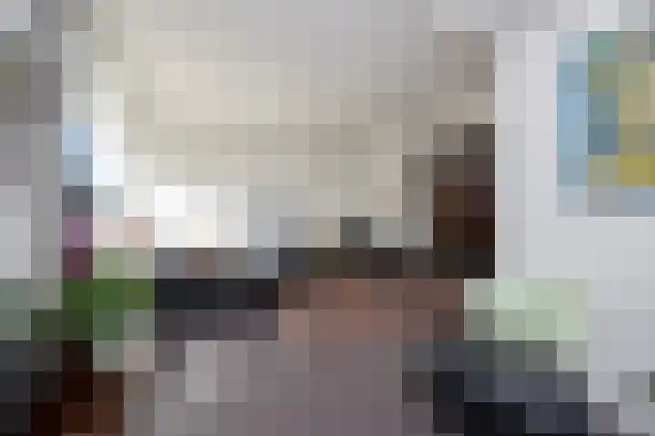 Leeuwenlaan 14 Terneuzen thumbnail 6