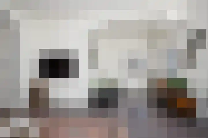 Leeuwenlaan 14 Terneuzen thumbnail 7