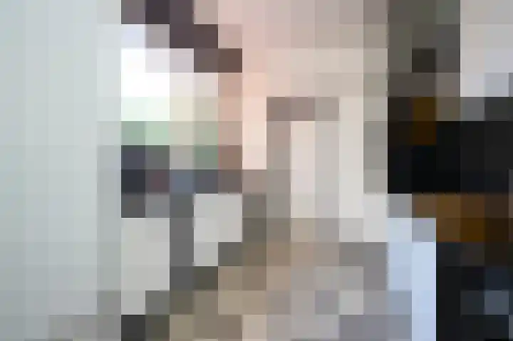 Leeuwenlaan 14 Terneuzen thumbnail 9