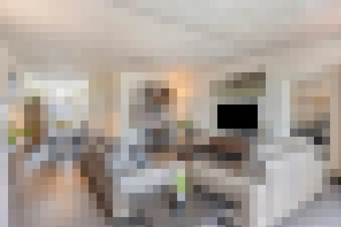 Leeuwenstein 23 Udenhout thumbnail 18