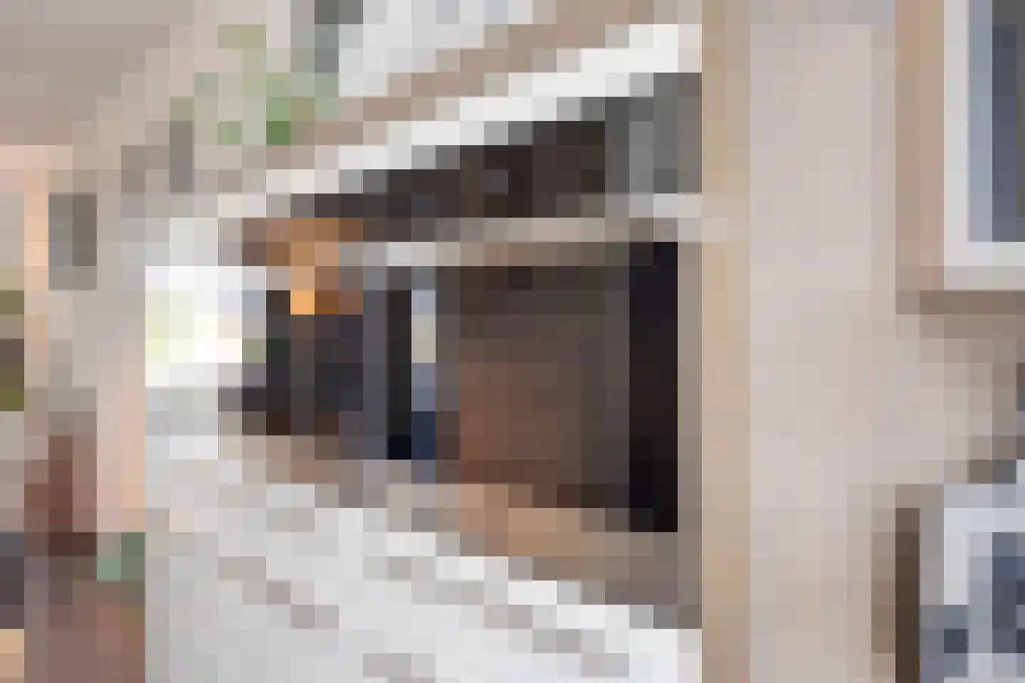 Leeuwenstein 23 Udenhout thumbnail 25