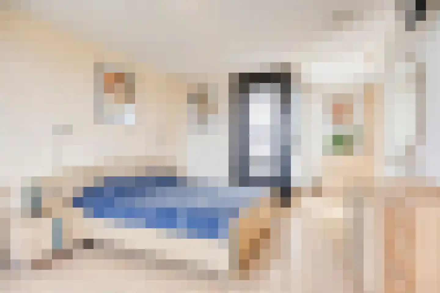 Leeuwenstein 23 Udenhout thumbnail 42