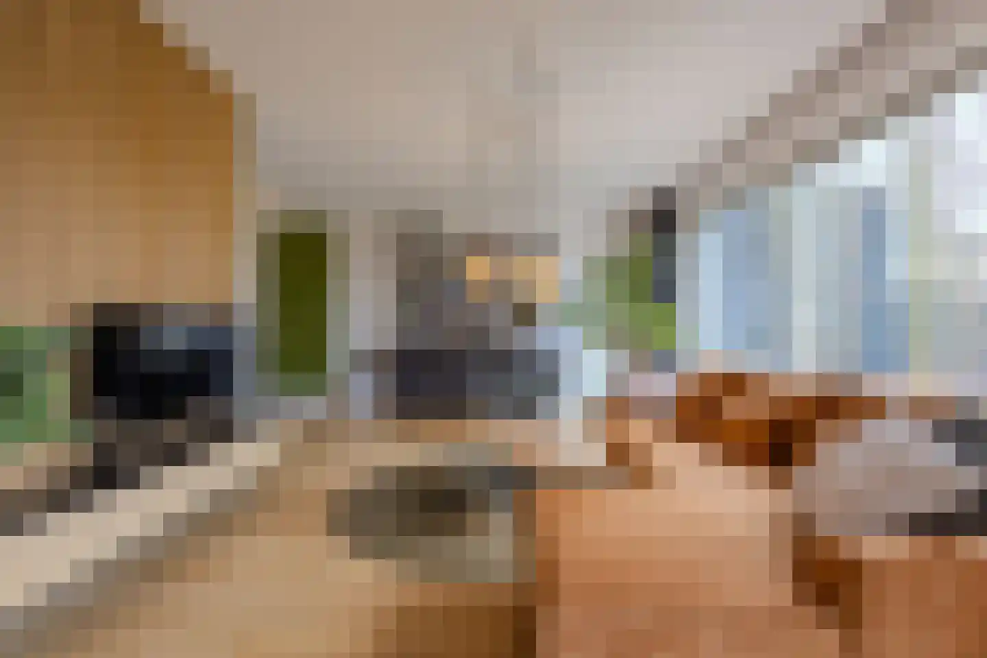 Leeuwenstein 25 Udenhout thumbnail 17