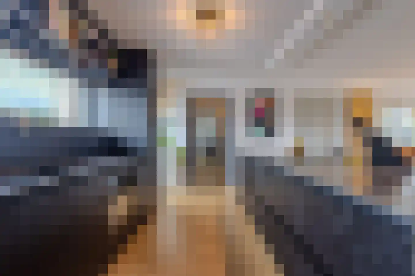 Leeuwenstein 25 Udenhout thumbnail 22
