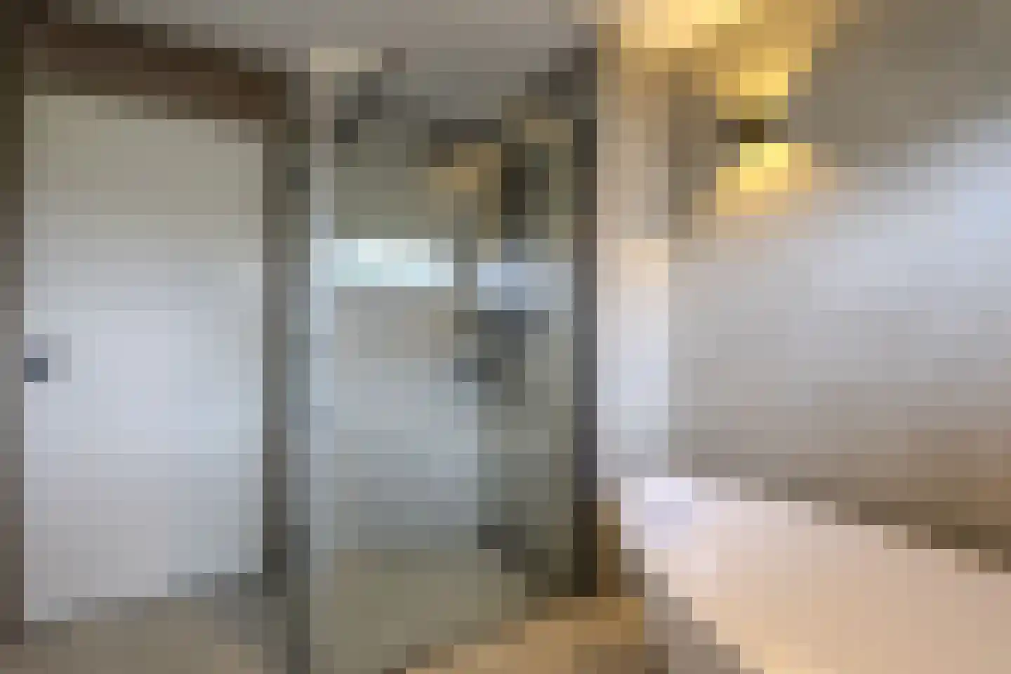 Leeuwenstein 25 Udenhout thumbnail 31