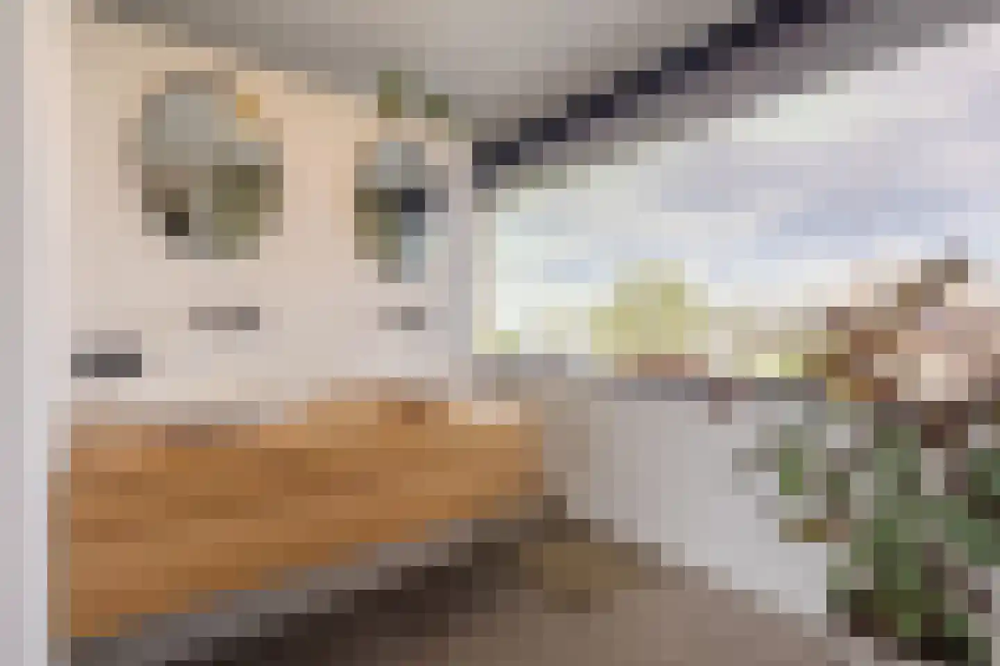 Leeuwenstein 25 Udenhout thumbnail 37